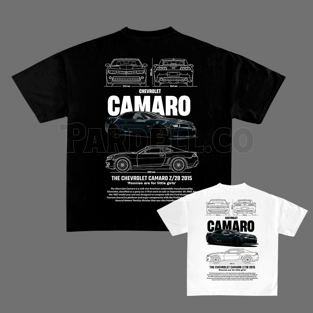 Car design for t-shirt, graphic, vector for print