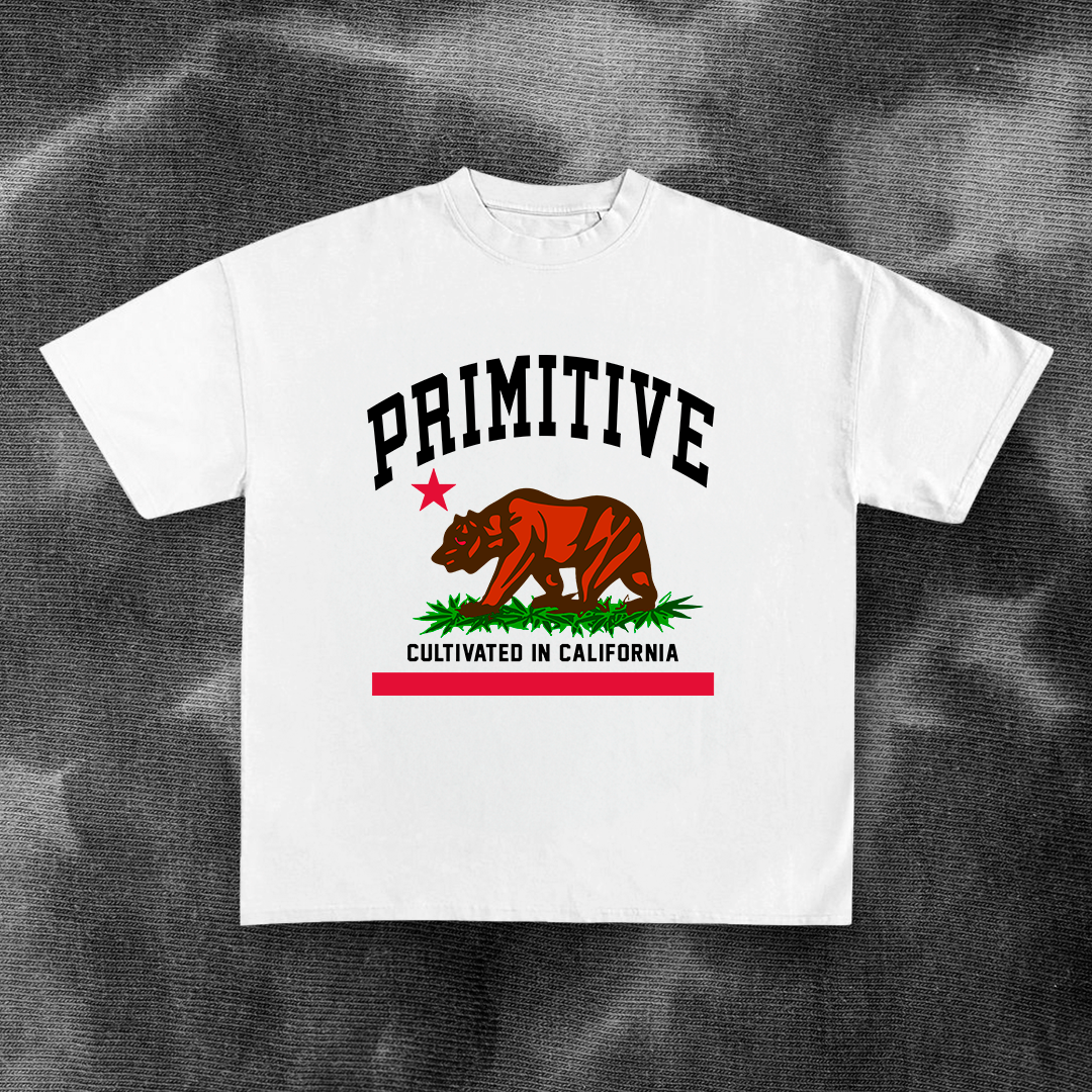 Primitiv3 design for printing