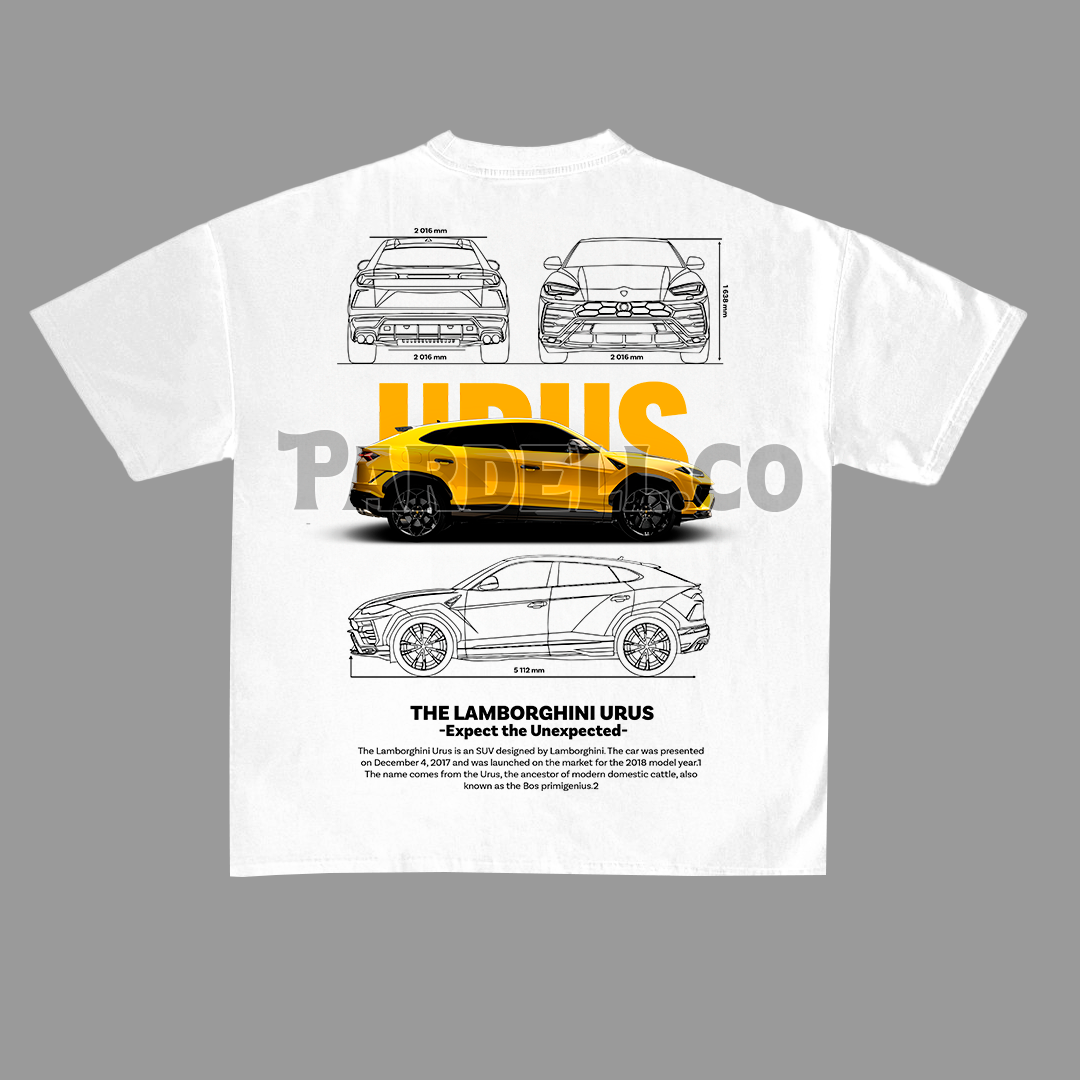 Car design for t-shirt, graphic, vector for print